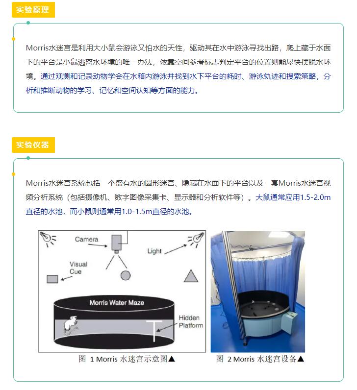 頁面正面案例.jpg